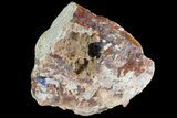 Large, Azurite Crystal on Druzy Quartz - Morocco #74686-1